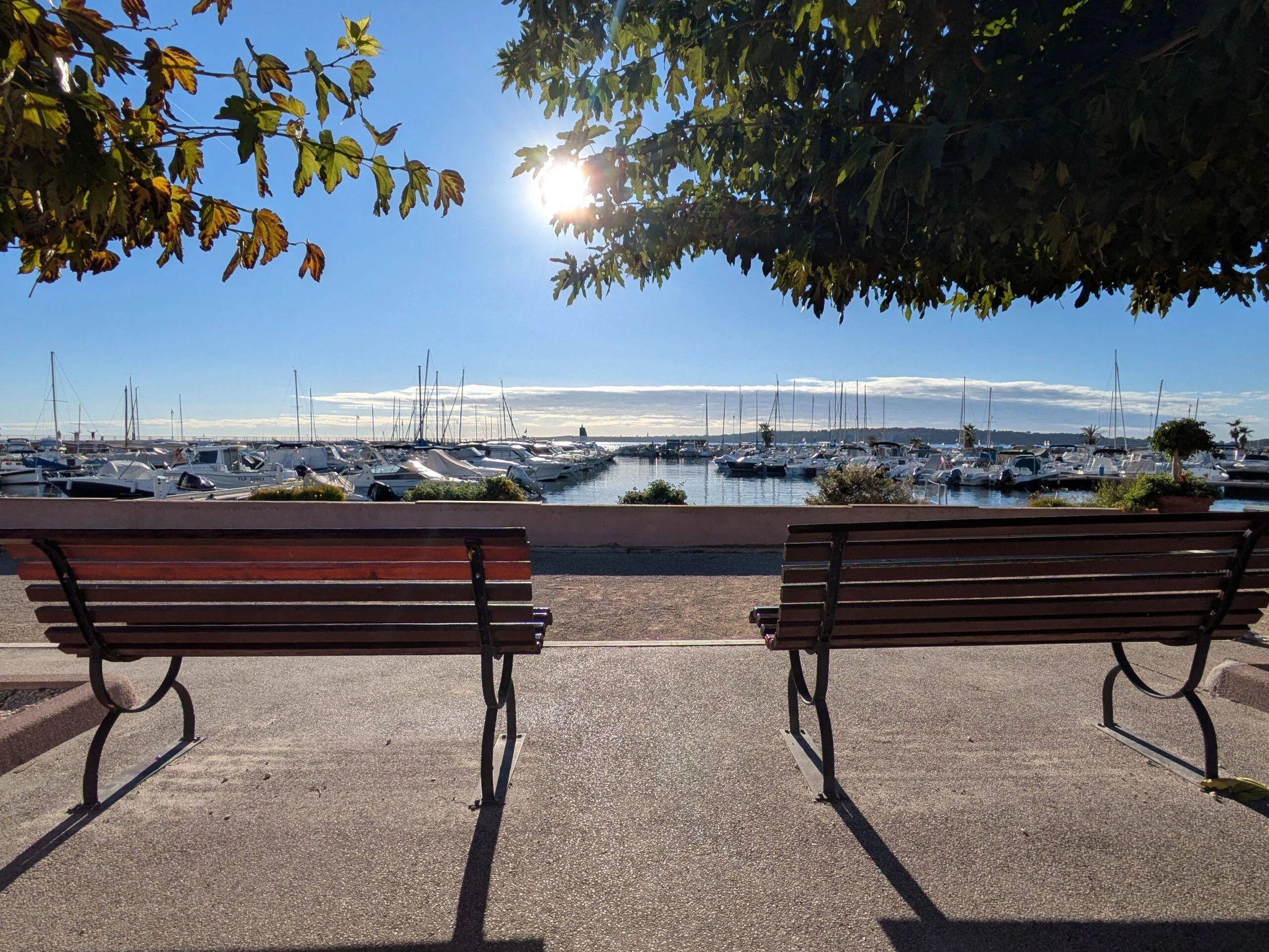 Cannes Port Moure Rouge