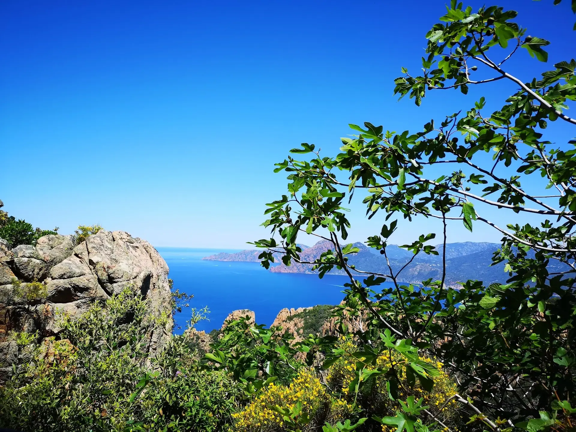 Investir immobilier Corse vue mer